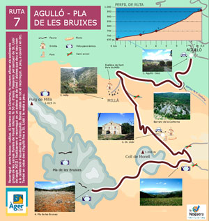 Route 7